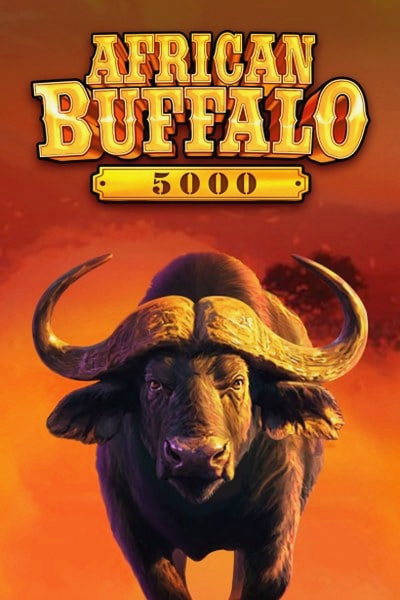 Omslag van de slot African Buffalo 5000 in de Casinova-lobby